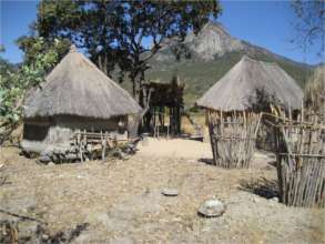 A Typical Homestead