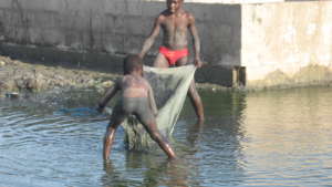 Working Children 2