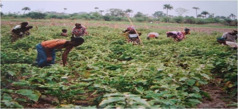 Empowering Women in Sierra Leone
