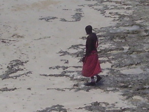 Fishermen are poaching the coast