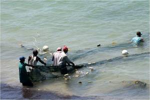Illegal fishing is big in Kenya