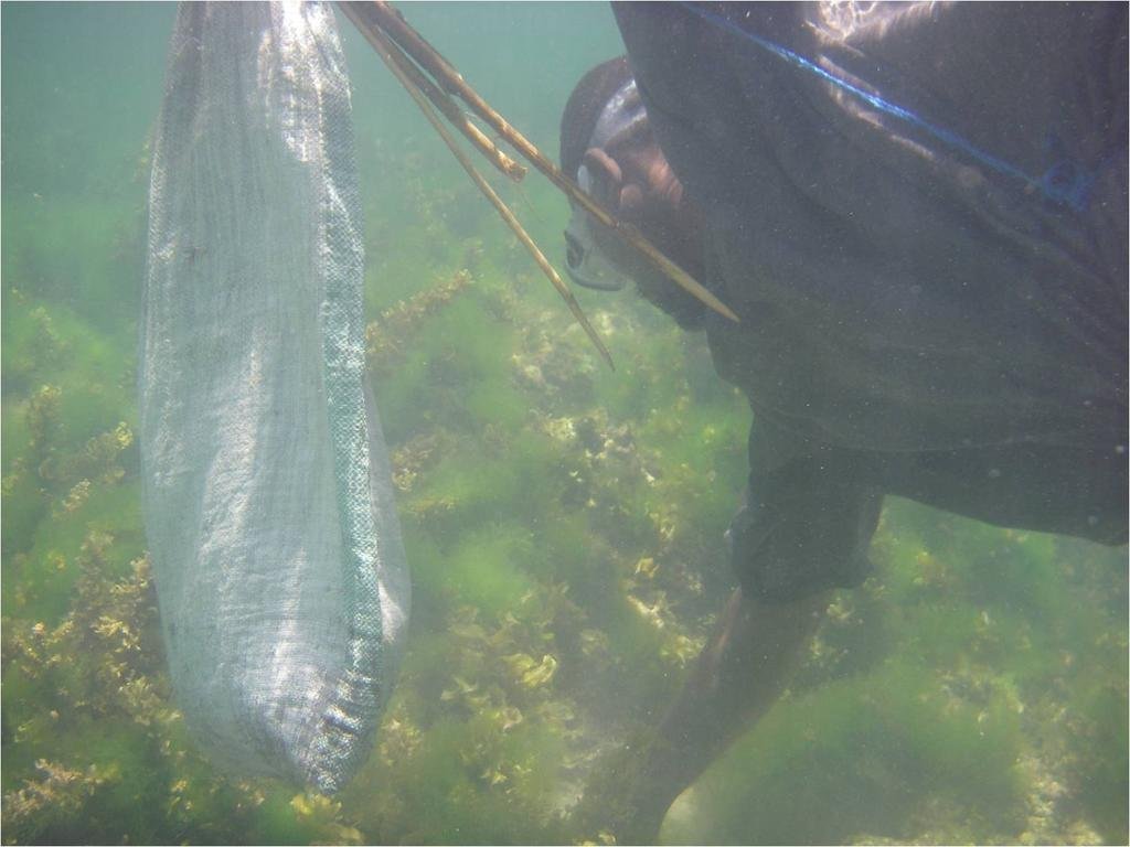 Stop Overfishing and Preserve Kenya Marine Life