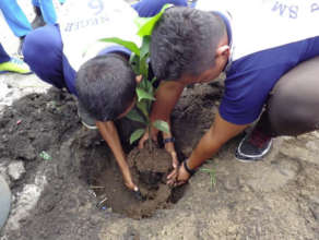 Tree planting workshop