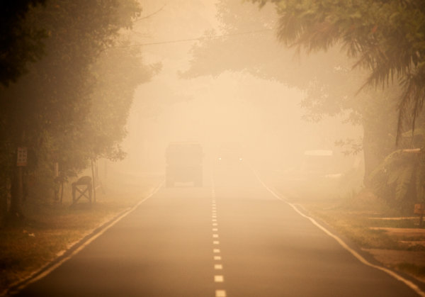 Kalimantan Haze Emergency Appeal