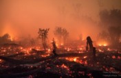 Kalimantan Haze Emergency Appeal