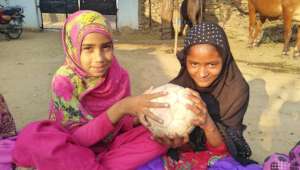 An Impact; Flight to LADO's Dreams !!