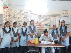 Survey Creating Pathways to Equal Education