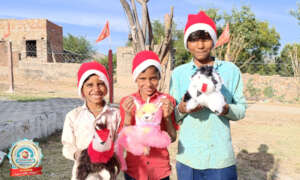 A Christmas Celebration of Innocent Dreams