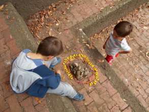 ENVIRONMENTAL EDUCATION