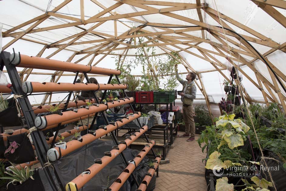 Centro COMParte: social economy & peace in Bogota