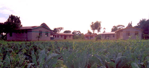 Tudabujja - Cyrus' last stop before returning home
