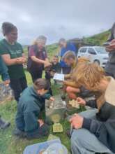 Community Event: Nature Nerds BioBlitz