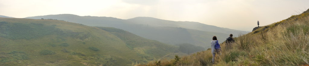 Cambrian Wildwood - Rewilding an area in Mid Wales