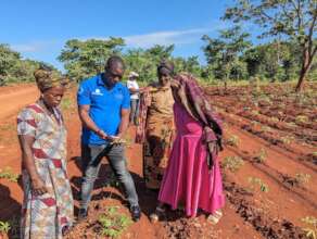 Testing cassava with Nuru app