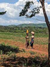 Walking to market