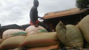Transportation of maize yields at Zeze by a farmer