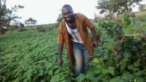 Batho at his beans farm