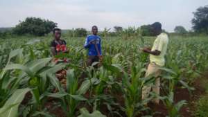 Felis and her wife weeding their farm