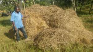 Harvest