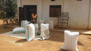January packing maize for storage