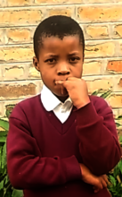 Intelligent Lilian explains chicken project