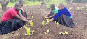 Planting seeds in the school garden