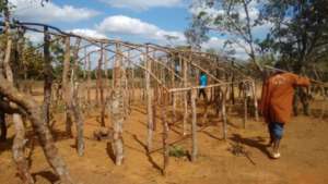 Greenhouse construction