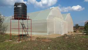 Greenhouse