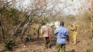 Lesson on honey harvesting