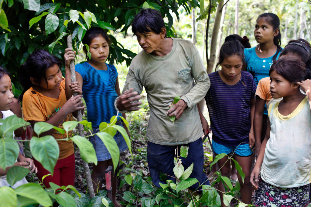 Support Shipibo-Konibo Change Makers