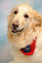 Aspen's new photo for her office ID