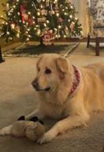 Christmas 2019