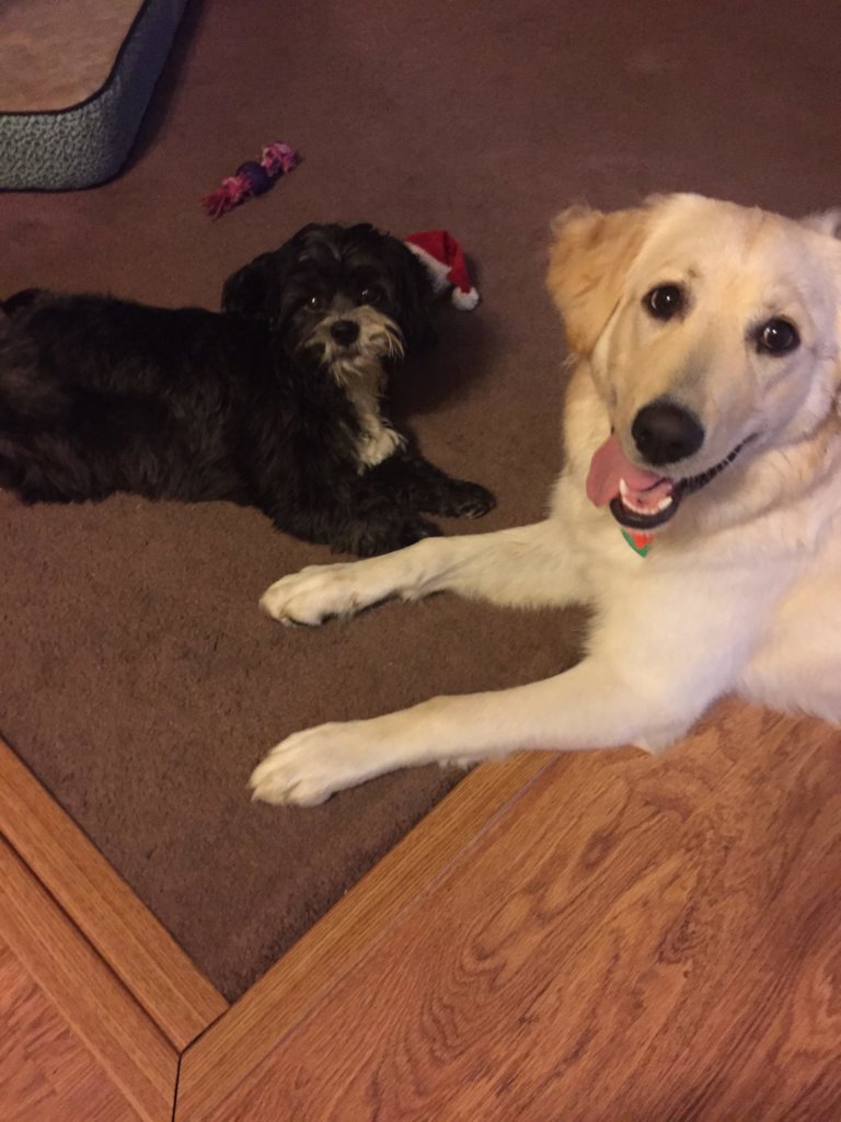 Aspen playing with her friend