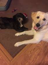 Aspen playing with her friend