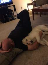 TV time with Dad
