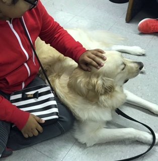 Aspen working with a client