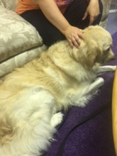 Aspen working with a client
