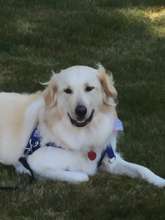 Loving the shade on a hot day!