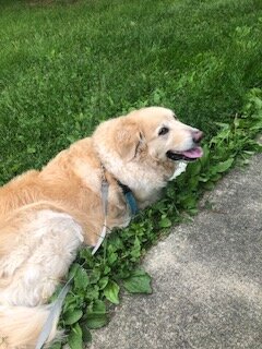 Aspen waiting for her client to arrive.