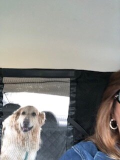 On our way to the courthouse!