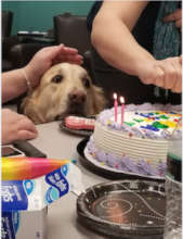 Aspen celebrating 5 years!