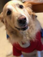 Aspen waiting to greet her clients.