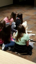 Aspen with a local Girl Scout Troop