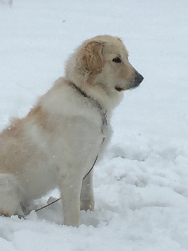 Snow day!