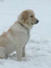 Snow day!