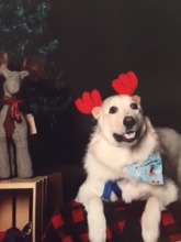 Aspen's first Christmas picture