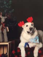 Merry Christmas!