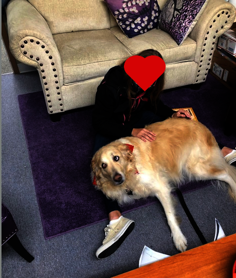 Aspen with client