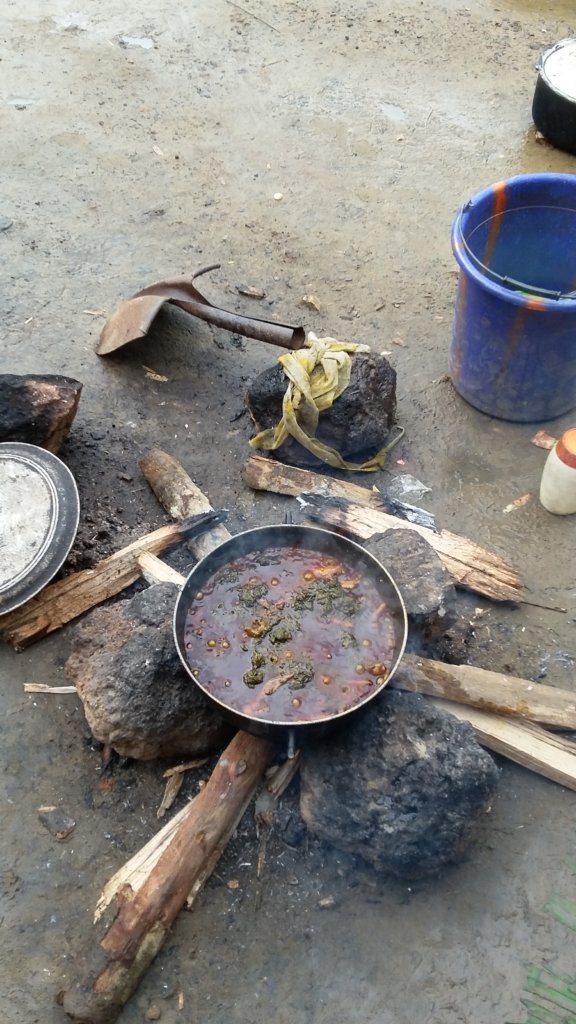 Improved Cookstoves for 25 Liberian Village Homes