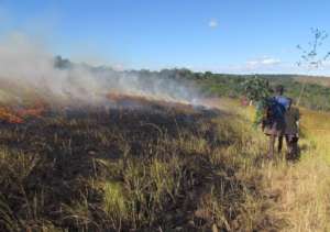 Creating firebreaks. Credit: Mael Jaonasy